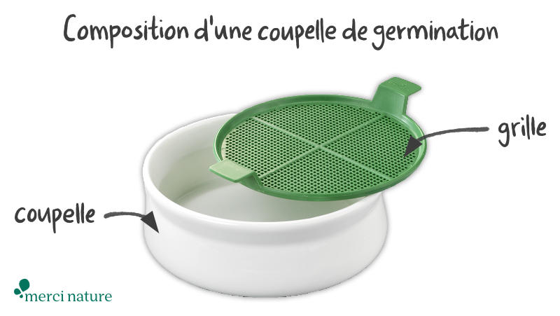 Décomposition d'une coupelle de germination Principe de fonctionnement d’une coupelle de germination pour graines germées à mucilage