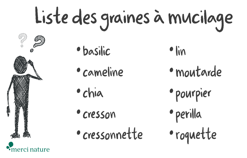 Liste des graines mucilagineuses Liste des graines germées à mucilage