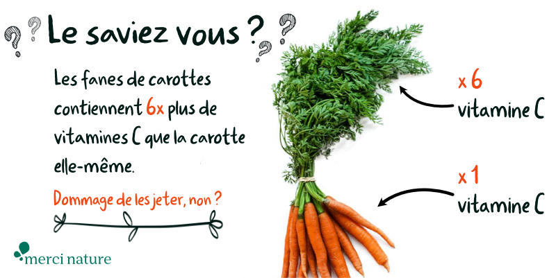 Vitamine C et fanes de carottes.