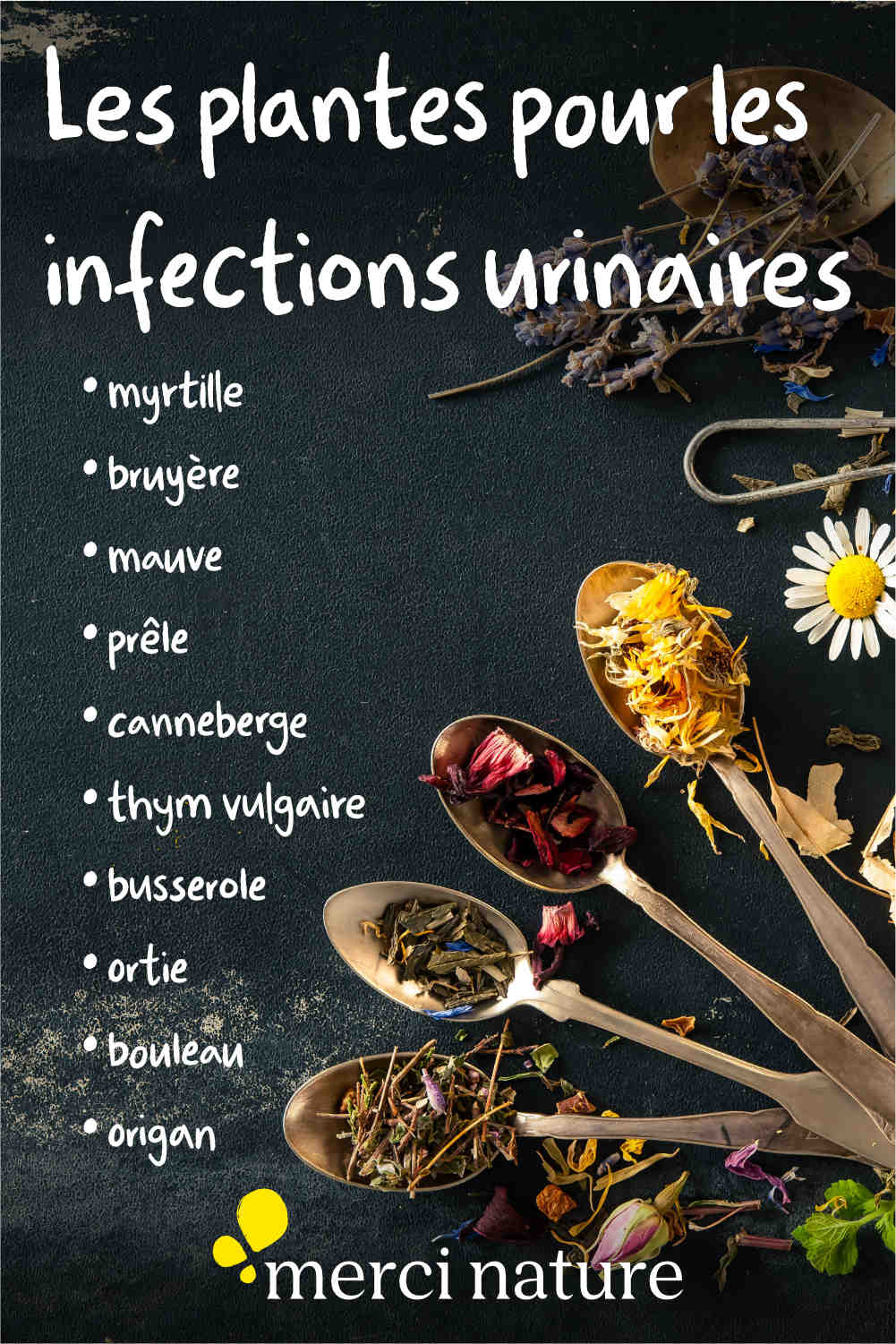 Liste de plantes pour lutter contre les infections urinaires.