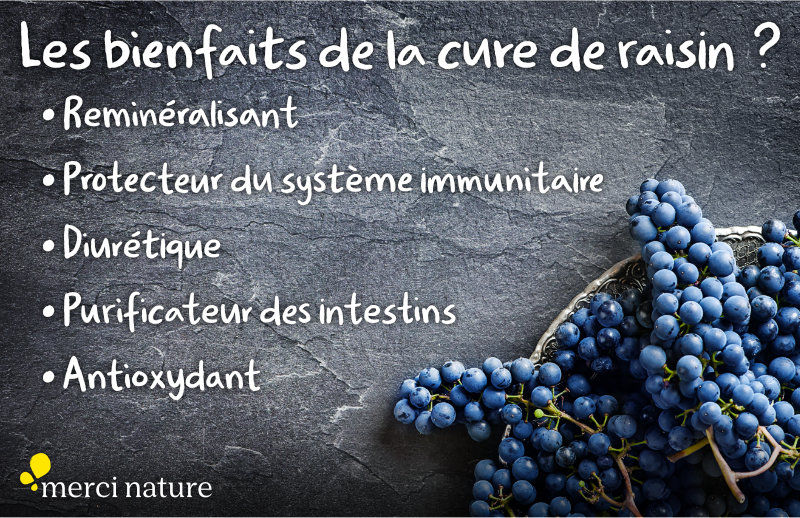 Liste des bienfaits de la cure de raisin