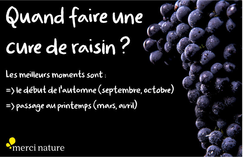 Meilleures périodes pour faire une cure raisin.